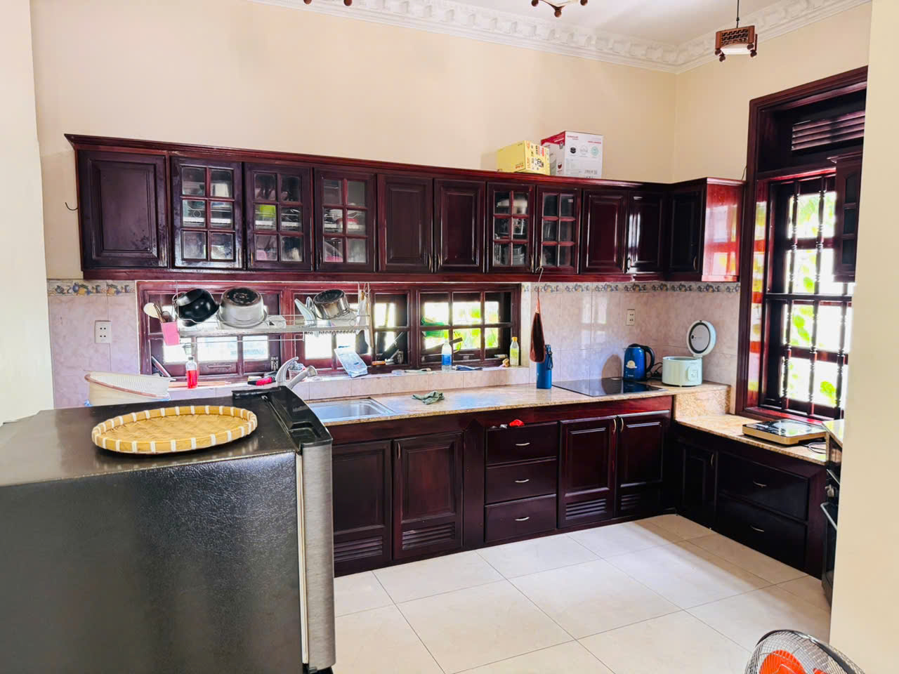 BÁN BIỆT THỰ VƯỜN 493M² – 300M ODT- AN BÌNH - HCM – 17.5 TỶ - Ảnh 2
