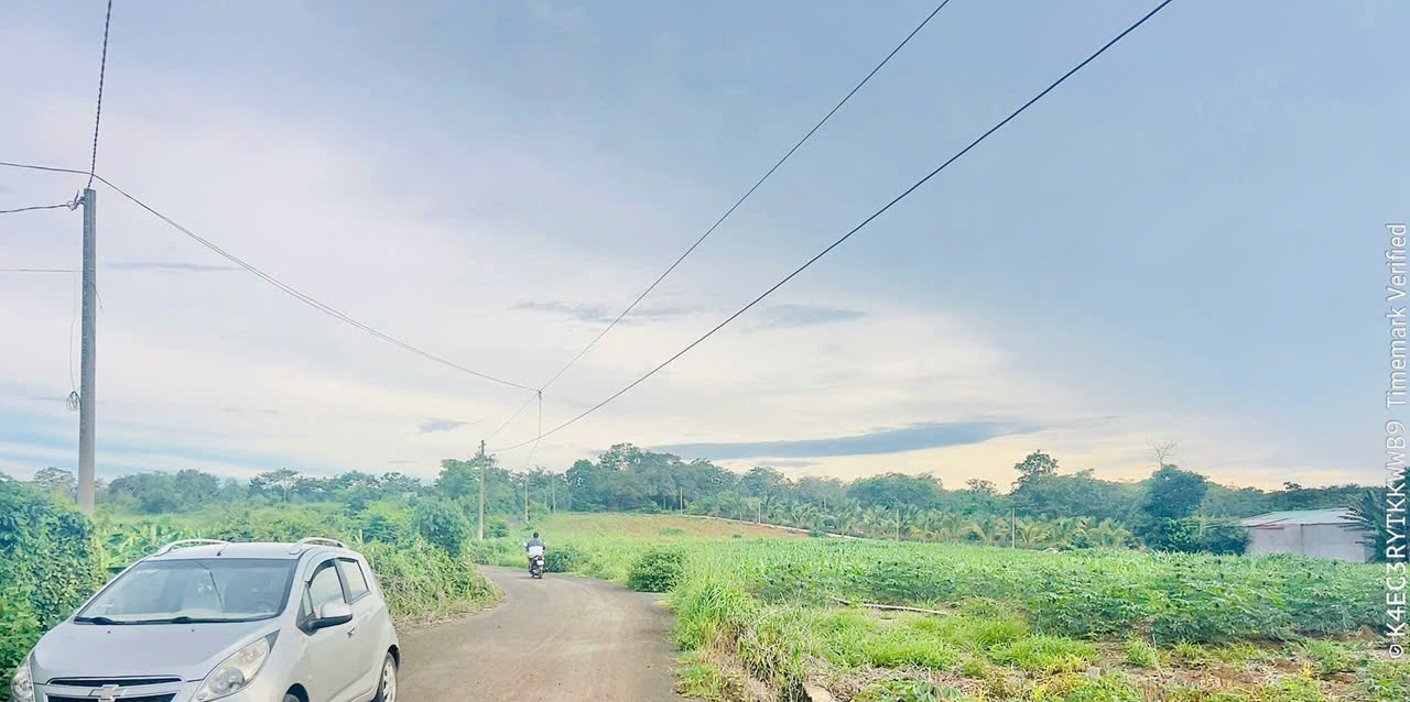 1000m bàu lâm. Qh đất ở . Đường nhựa khu dân cư .ngang 14 giá siêu rẻ - Ảnh 1