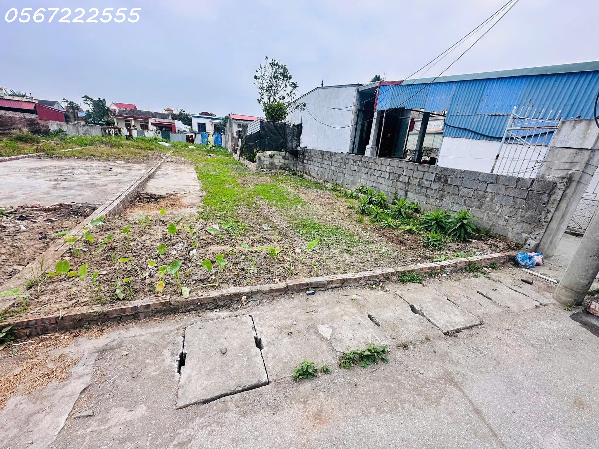 Chính chủ bán đất tuyến 2 tỉnh lộ 403, thôn Ngũ Đoan, huyện Kiến Thụy, Hải Phòng. - Ảnh 4