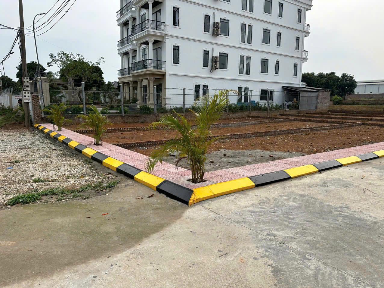 SỞ HỮU NGAY ĐẤT ĐẸP - GIÁ TỐT - VỊ TRÍ ĐẮC ĐỊA Tại Thái Lai - Kim Anh - Hà Nội - Ảnh 2