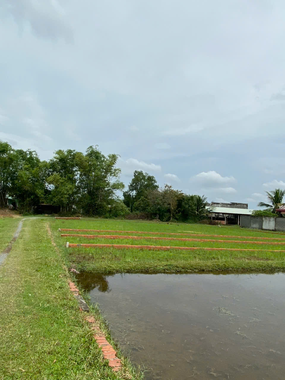 CHÍNH CHỦ BÁN LÔ ĐẤT 1000M2 GIÁ SIÊU TỐT TẠI BÀU SEN, ĐỨC HÒA, LONG AN - Ảnh chính