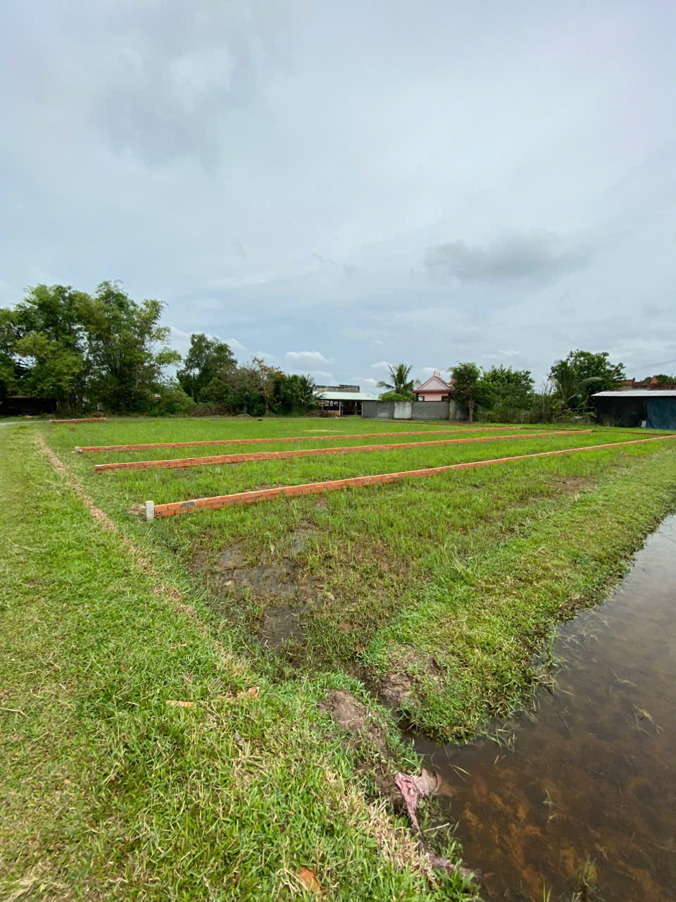 CHÍNH CHỦ BÁN LÔ ĐẤT 1000M2 GIÁ SIÊU TỐT TẠI BÀU SEN, ĐỨC HÒA, LONG AN - Ảnh 3