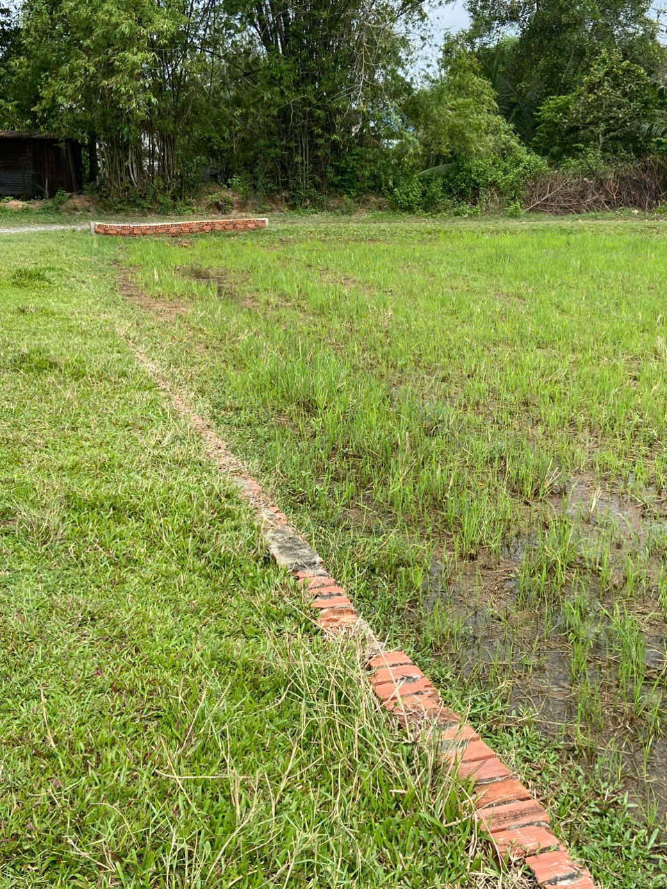 CHÍNH CHỦ BÁN LÔ ĐẤT 1000M2 GIÁ SIÊU TỐT TẠI BÀU SEN, ĐỨC HÒA, LONG AN - Ảnh 4