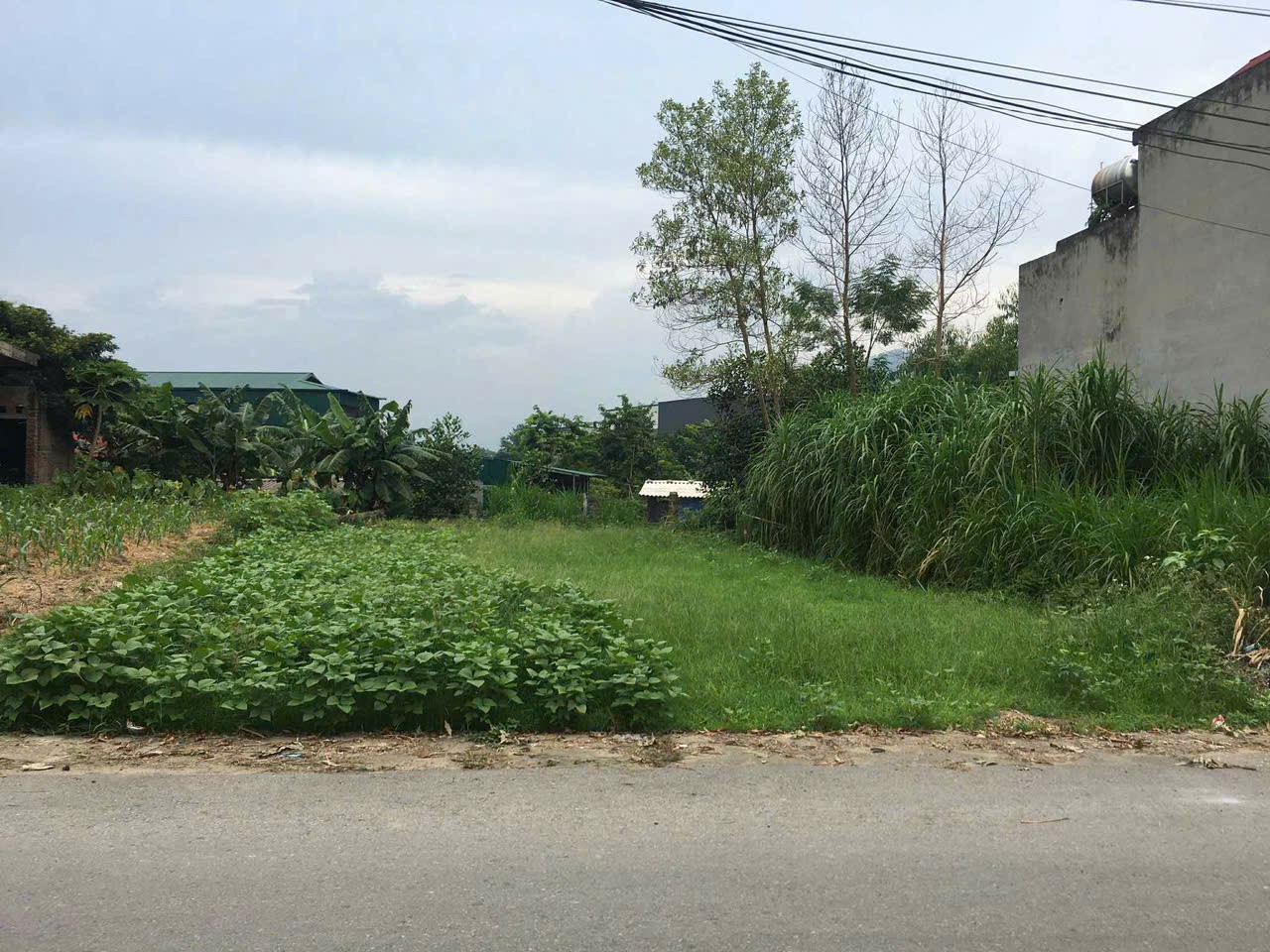 ĐẤT ĐẸP - CHÍNH CHỦ CẦN  BÁN LÔ ĐẤT TẠI khu suông 1 - Hương Lung -  Cẩm Khê - Phú Thọ - Ảnh 2