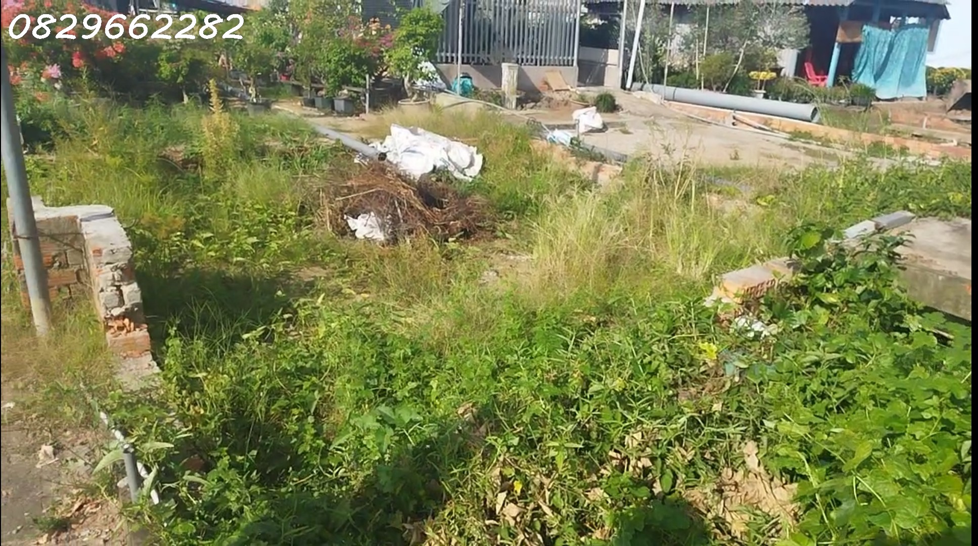 Bán Đất Thổ Cư Đường Làng Hoa, Sa Đéc. 196m2, SHR, Giá 3.2 Tỷ. - Ảnh 3