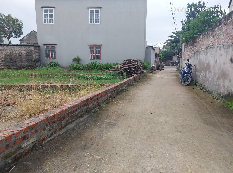 Hai thửa đất, 100m2, mt6m, 2.8 tỷ, 7 chỗ, thông, Thanh Trí, Sóc Sơn. - Ảnh 3