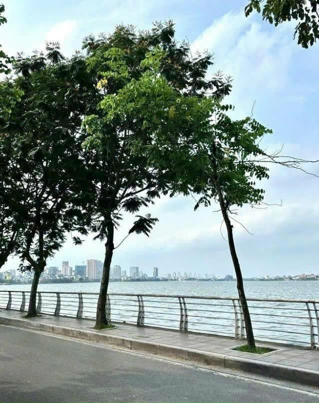 BÁN NHÀ MẶT PHỐ VÕNG THỊ, TÂY HỒ - 190M² - MT 14.5M - VỈA HÈ Ô TÔ TRÁNH - GIÁ 115 TỶ - Ảnh 4