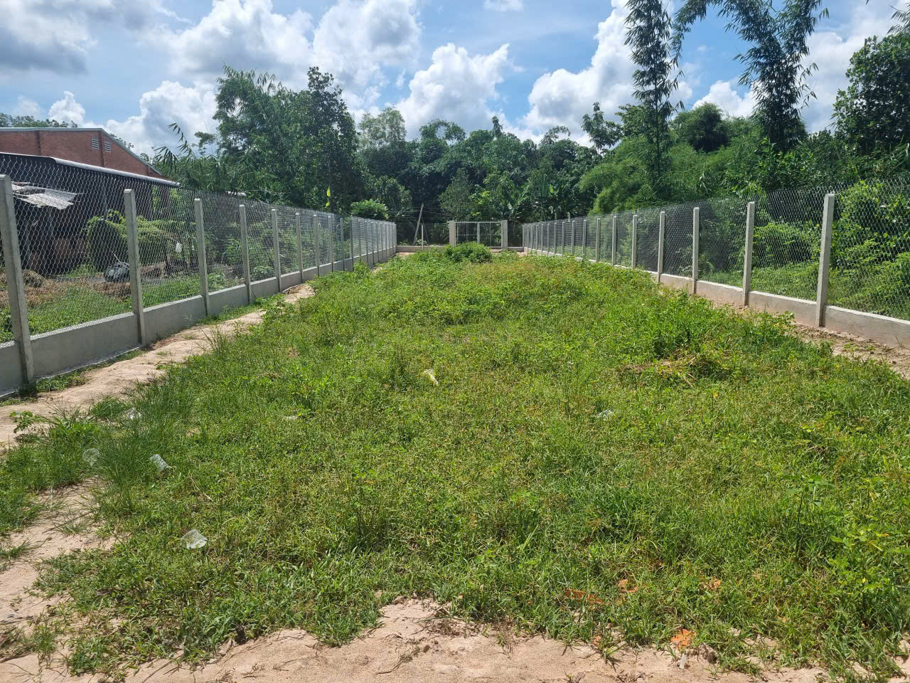 BÁN ĐẤT 2 MẶT TIỀN DT: 540M2, MẶT TIỀN 10M, GIÁ TỐT -QL22B, XÃ THẠNH ĐỨC, HUYỆN GÒ DẦU - Ảnh 2