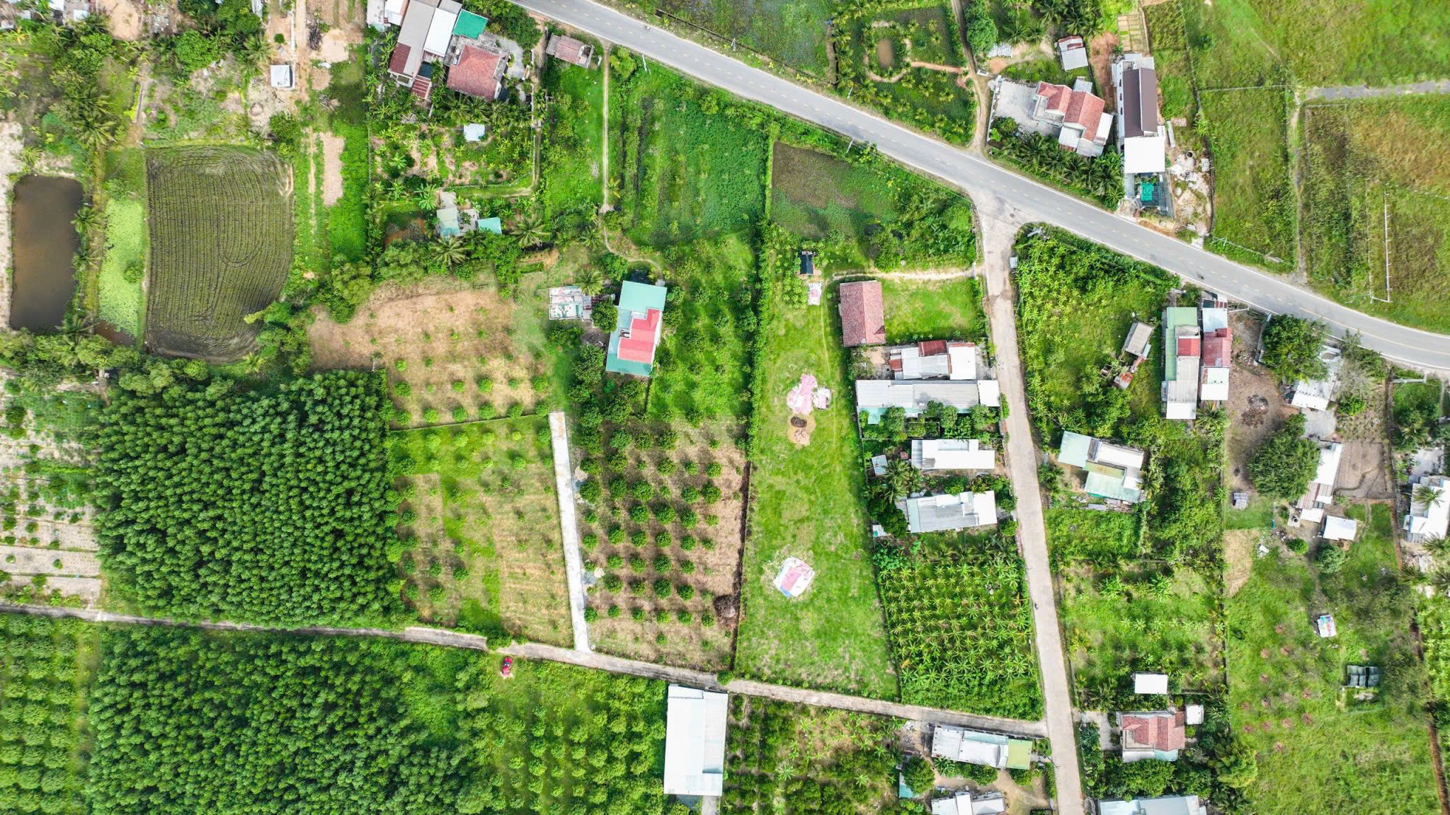GIẢM GIÁ CỰC SỐC! ĐẤT THỔ CƯ, MẶT TIỀN ĐƯỜNG TẠI SUỐI TIÊN - DIÊN KHÁNH. GIẢM CHỈ CÒN 1,450TỶ - Ảnh 3