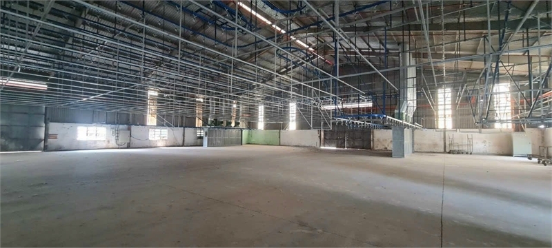 Xưởng gia công nhẹ, thích hợp đầu tư vận hành logistic, sân bãi rộng cont di chuyển - Ảnh chính