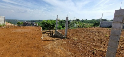 BÁN ĐẤT VƯỜN SẦU RIÊNG TRUNG TÂM TT DI LINH – CƠ HỘI ĐẦU TƯ SINH LỜI CAO - Ảnh 1