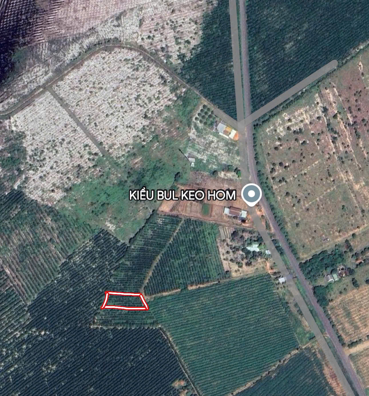 khả năng Đầu Tư Vàng: 1033m2 Đất Thổ Cư Quốc Lộ 55, Hàm Tân - Bình Thuận, Chỉ 1 Tỷ! - Ảnh 1