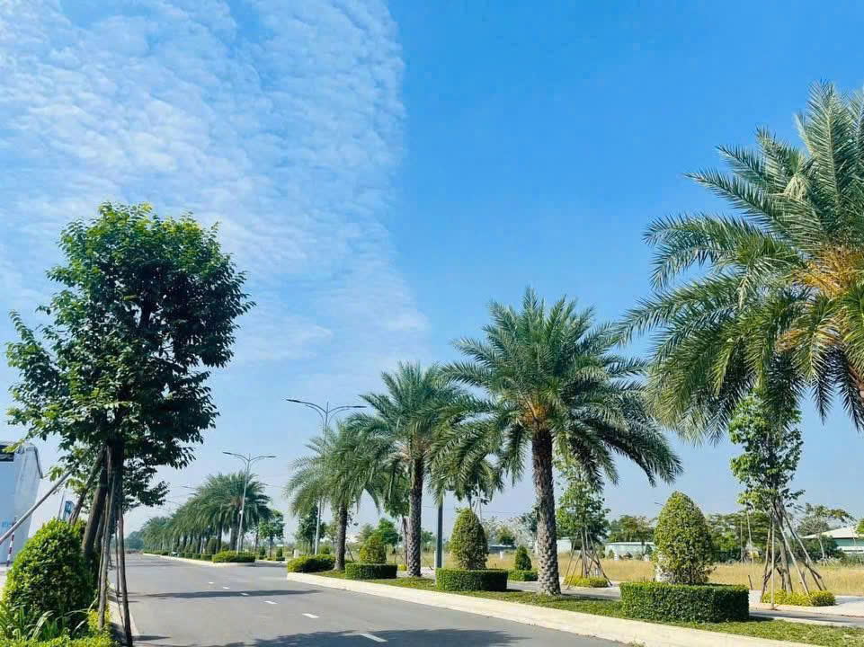 cần bán lô đất siêu đẹp tại bình chánh,sổ hồng riêng,khu dân cư cao cấp,giá 1 ty 150/90m - Ảnh chính