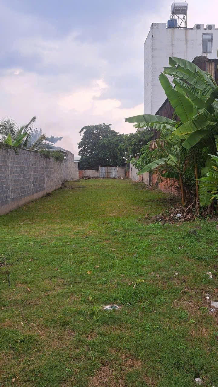 Bán Đất, Hẻm Nguyễn Văn Quá  - gần Tô Ký , Chợ Cầu, 582m2 ( 12x55m), full thổ, 20,9 tỷ - Ảnh 1