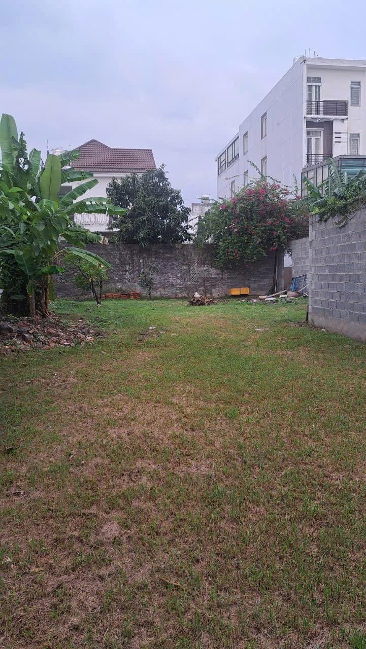 Bán Đất, Hẻm Nguyễn Văn Quá  - gần Tô Ký , Chợ Cầu, 582m2 ( 12x55m), full thổ, 20,9 tỷ - Ảnh 2