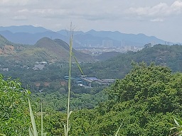 ► CƠ HỘI ĐẦU TƯ VÀNG – ĐẤT VEN BIỂN NHA TRANG - Ảnh 1