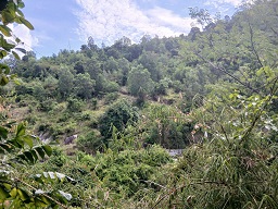 ► CƠ HỘI ĐẦU TƯ VÀNG – ĐẤT VEN BIỂN NHA TRANG - Ảnh 3