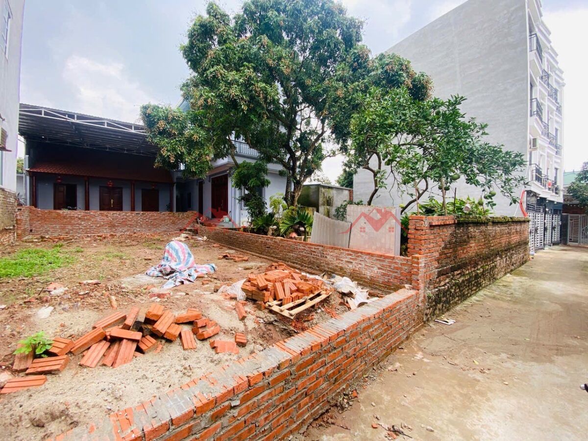 CHÍNH CHỦ CẦN BÁN LÔ ĐẤT ĐẸP TRỤC KINH DOANH 71,8M TẠI PHỤNG CHÂU-CHƯƠNG MỸ-HÀ NỘI - Ảnh 1
