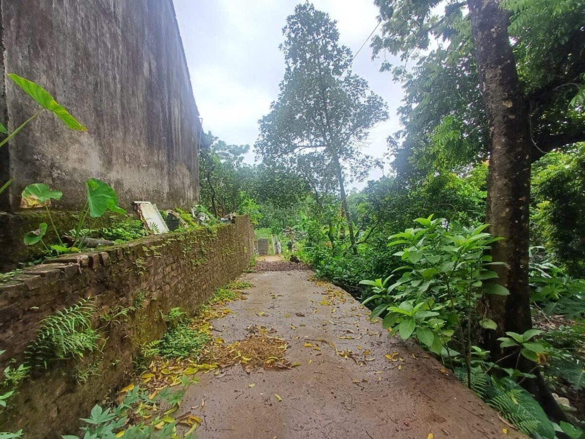 ĐẤT ĐẸP GIÁ RẺ PHƯỜNG CHƯƠNG MỸ 470M TẠI TIÊN PHƯƠNG-CHƯƠNG MỸ-HÀ NỘI - Ảnh 1