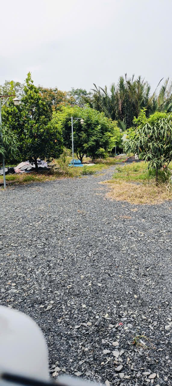 BÁN LÔ ĐẤT 923M2 - MẶT TIỀN NGANG LỚN 24M - ĐƯỜNG XƯƠNG CÁ - GẦN QUỐC LỘ 50 - Nhỉnh 9tỷ - Ảnh 2