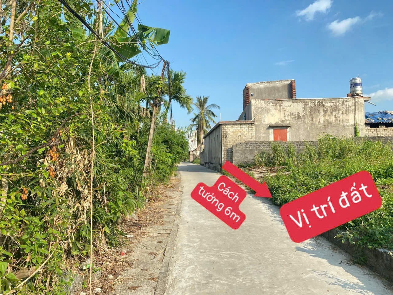 CHÍNH CHỦ Cần Bán Lô Đất Vị Trí Đẹp Tại Thượng Thông, Hoàng Quế, Quảng Ninh - Ảnh 2
