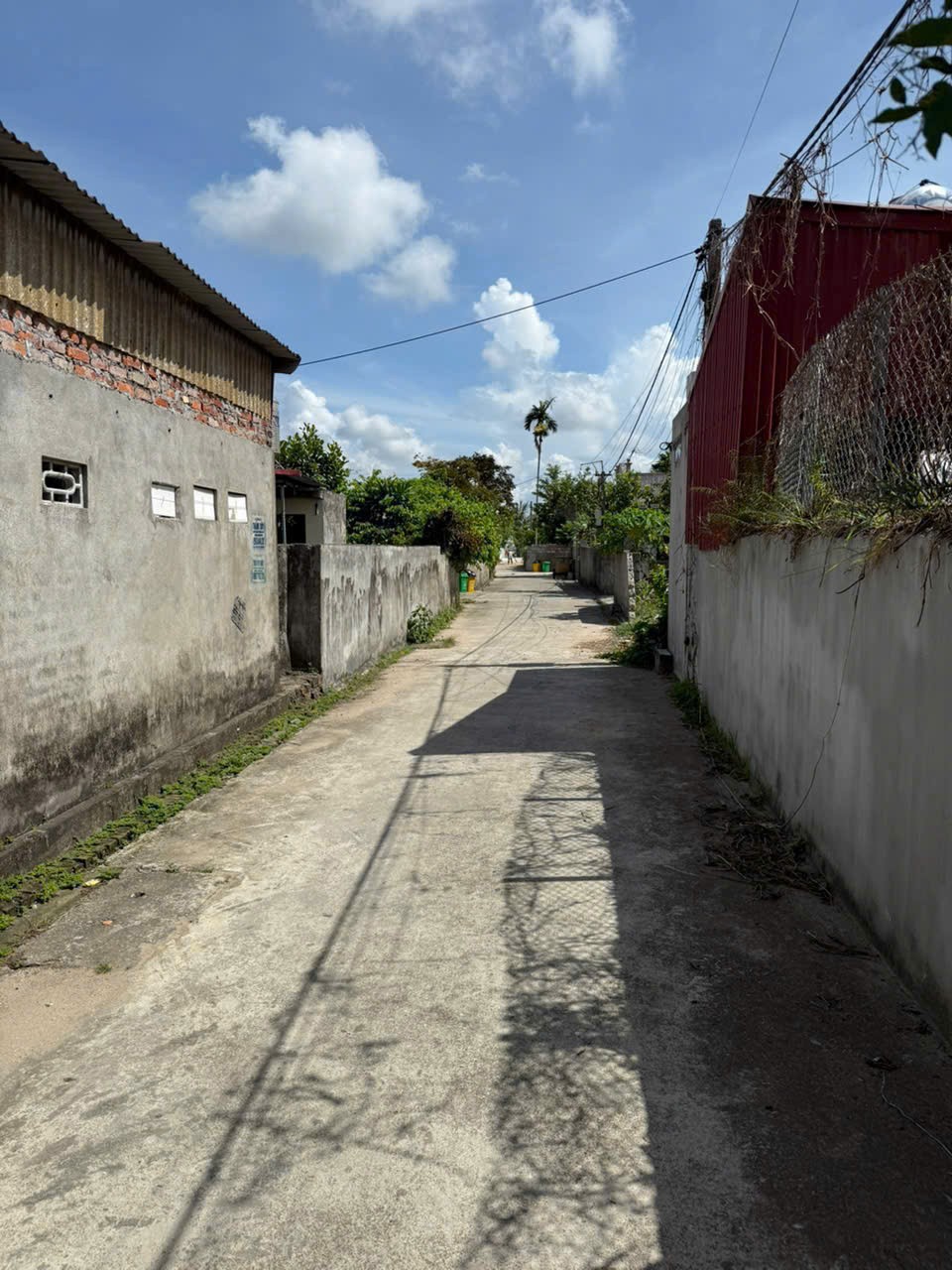 Bán đất Vũ Vị, xã Minh Tân, Hải Phòng - Ảnh 1