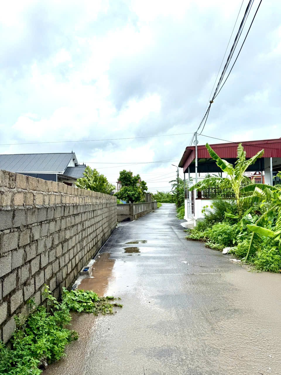 Bán đất Đoàn Xá, Kiến Thụy, Hải Phòng - Ảnh 4