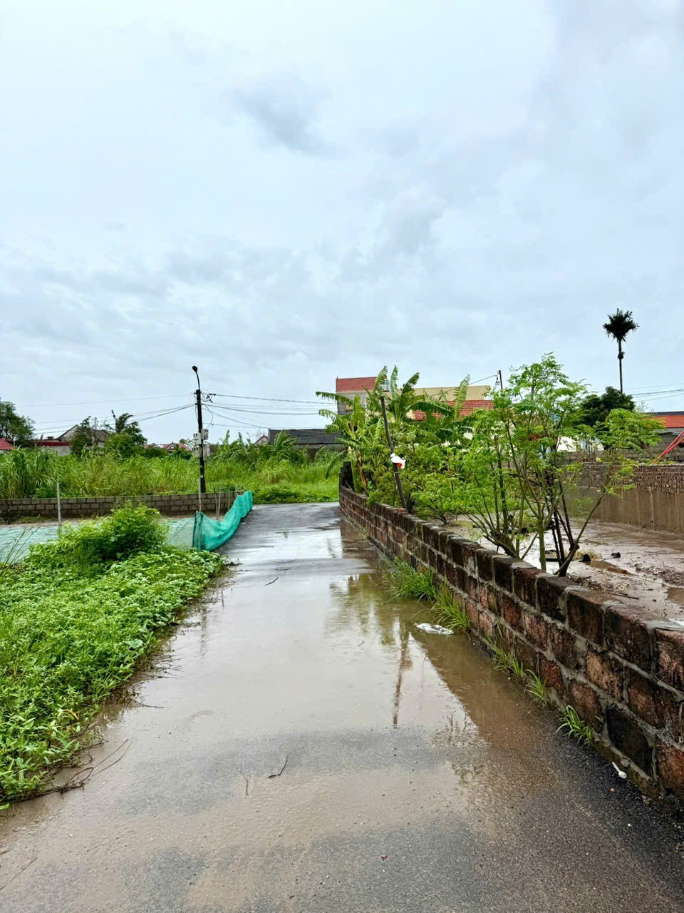 Bán đất Đoàn Xá, Kiến Thụy, Hải Phòng - Ảnh chính
