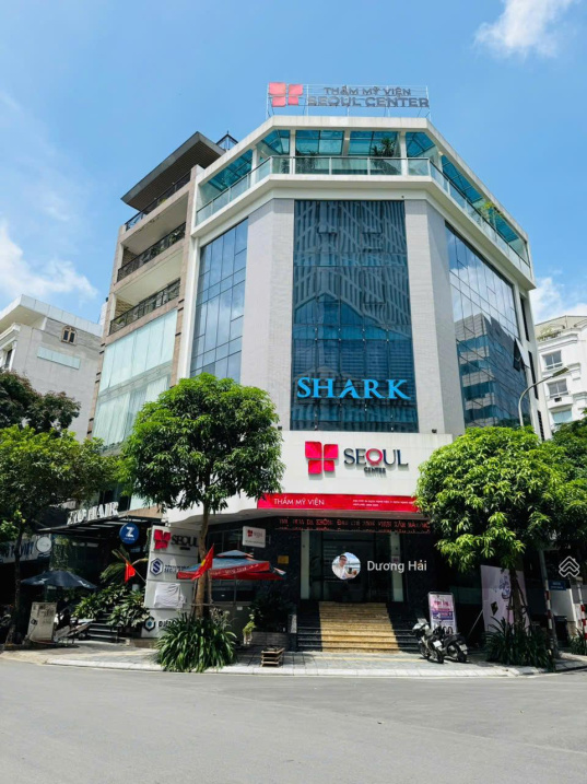 Bán đất phân lô phố Dịch Vọng Hậu - Cầu Giấy - Diện tích 150m Ô tô Tránh View Vườn Hoa Hiếm - Ảnh 2