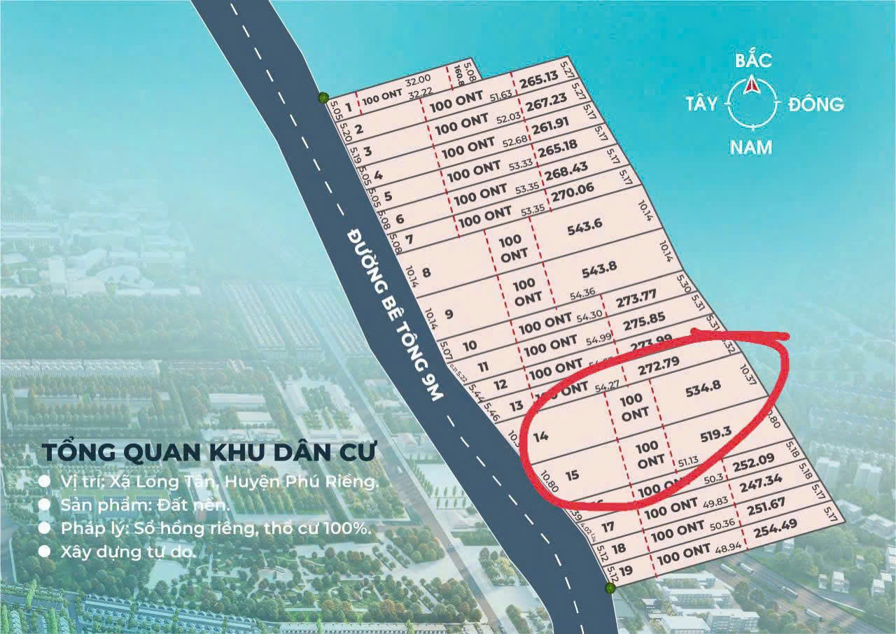 🔥 Đất Giá Rẻ Long Hà – Phú Riềng, 5x55m, Thổ Cư 100m², Giá Chỉ 290 Triệu 🔥 - Ảnh 1