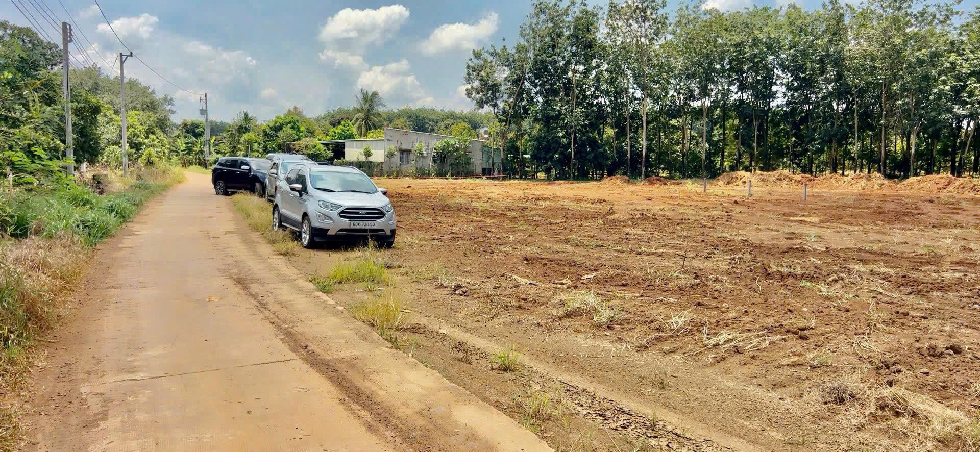 🔥 Đất Giá Rẻ Long Hà – Phú Riềng, 5x55m, Thổ Cư 100m², Giá Chỉ 290 Triệu 🔥 - Ảnh chính