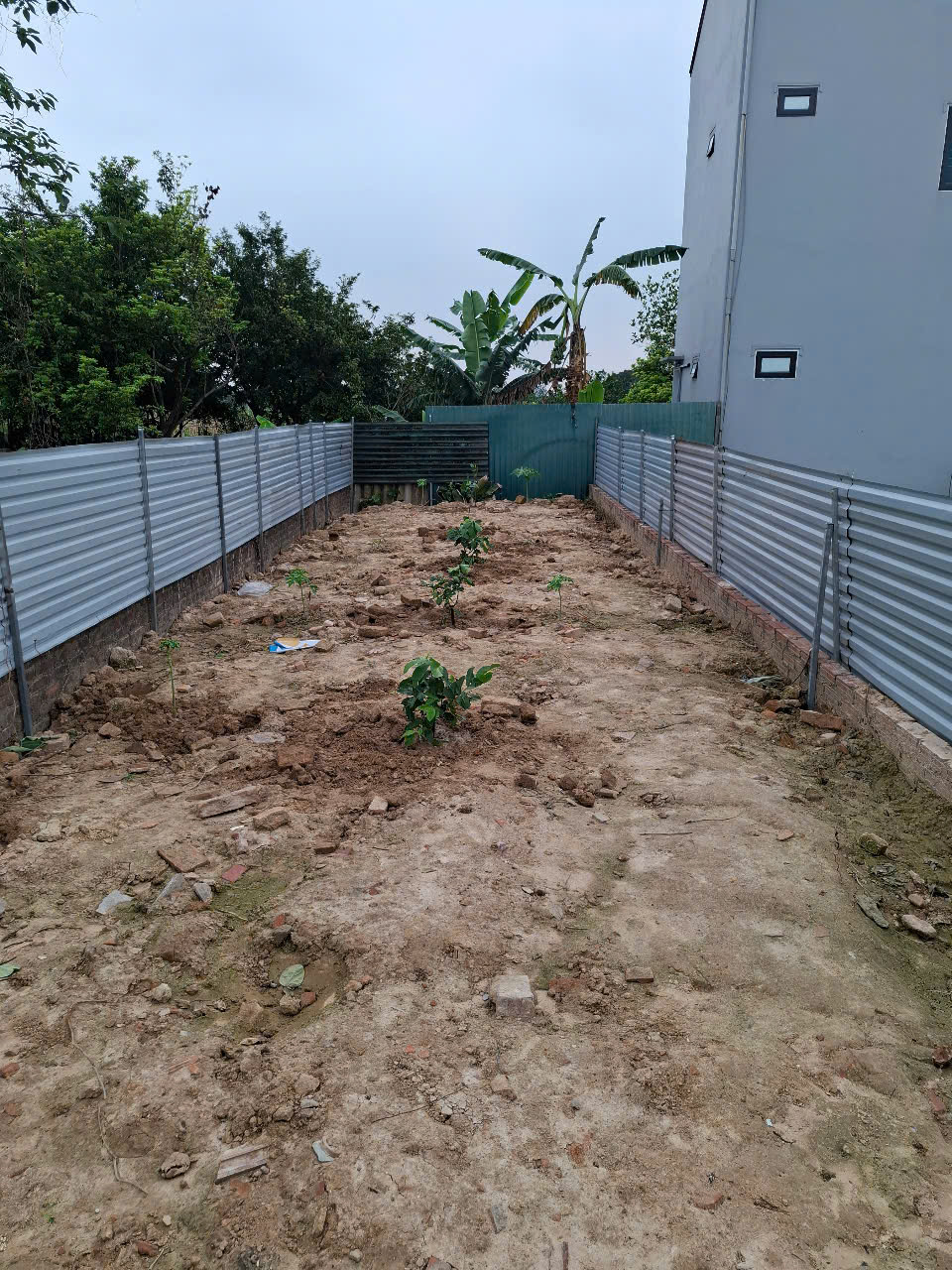 BÁN ĐẤT CHÍNH CHỦ – THÔN ĐOÀI, PHÚ MINH, SÓC SƠN , HÀ NỘI - Ảnh 3