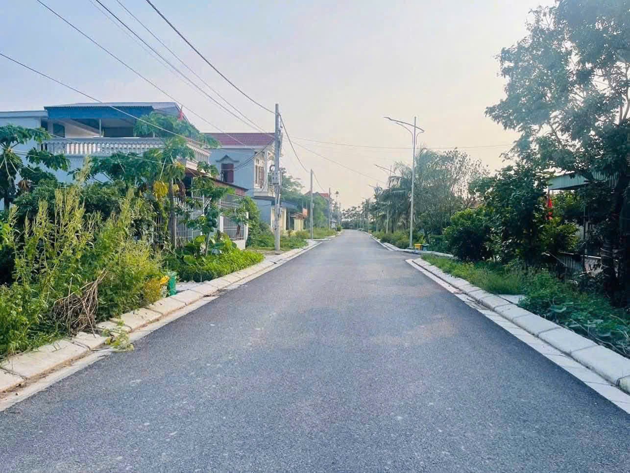 Bán đất khu đấu giá Đồng Rồi, xã Ngũ Đoan, Hải Phòng - Ảnh 2