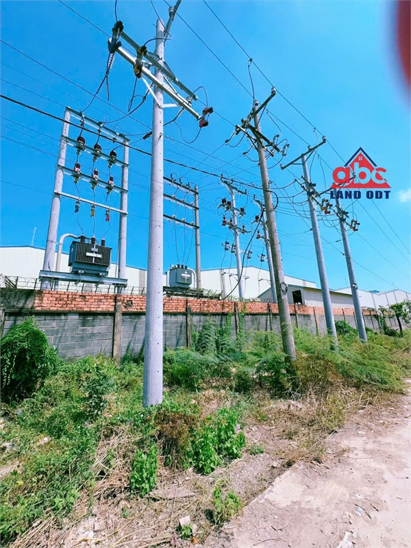 XT490 Cho thuê nhà xưởng công nghiệp đang hoạt động SX gỗ nội thất xuất khẩu, giao xưởng liền - Ảnh 4
