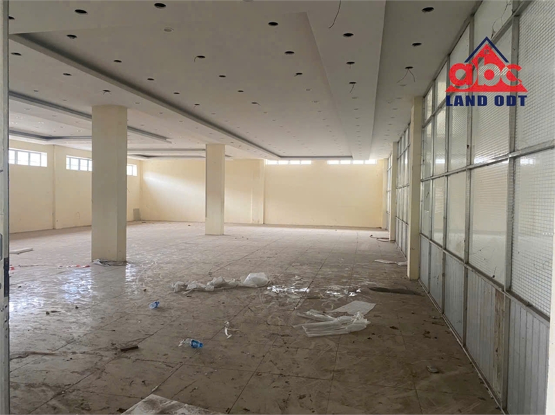 XT490 Cho thuê nhà xưởng công nghiệp đang hoạt động SX gỗ nội thất xuất khẩu, giao xưởng liền - Ảnh 3