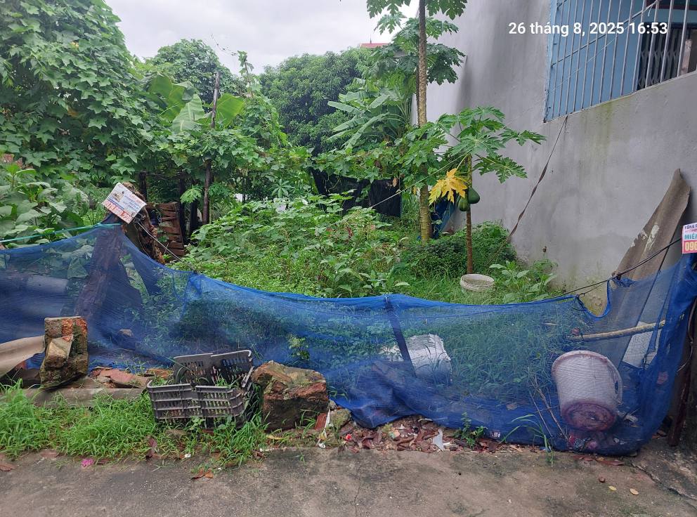 Bán đất Quang Minh 89m2,mt4m, 4.35 tỷ, Hà Nội, ô tô nhỏ. - Ảnh chính
