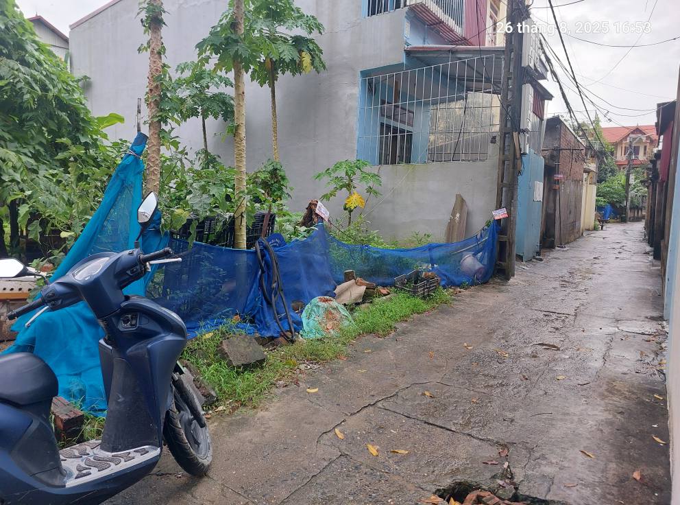 Bán đất Quang Minh 89m2,mt4m, 4.35 tỷ, Hà Nội, ô tô nhỏ. - Ảnh 1