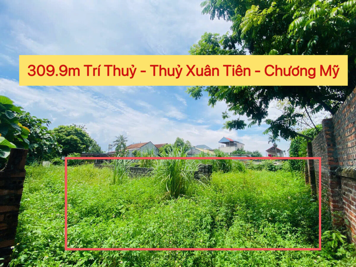 HÀNG FO NGON BỔ RẺ 309,9M TẠI THỦY XUÂN TIÊN-CHƯƠNG MỸ-HÀ NỘI - Ảnh chính