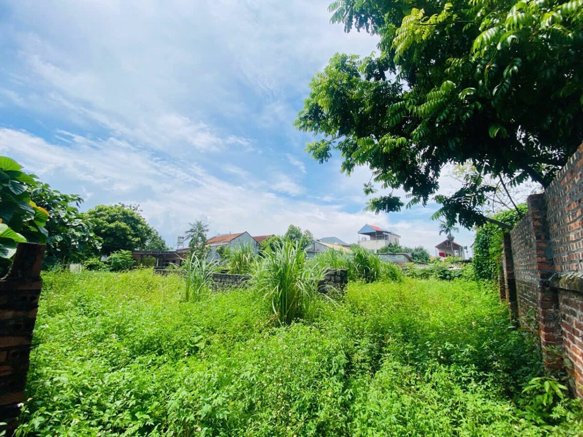 HÀNG FO NGON BỔ RẺ 309,9M TẠI THỦY XUÂN TIÊN-CHƯƠNG MỸ-HÀ NỘI - Ảnh 1