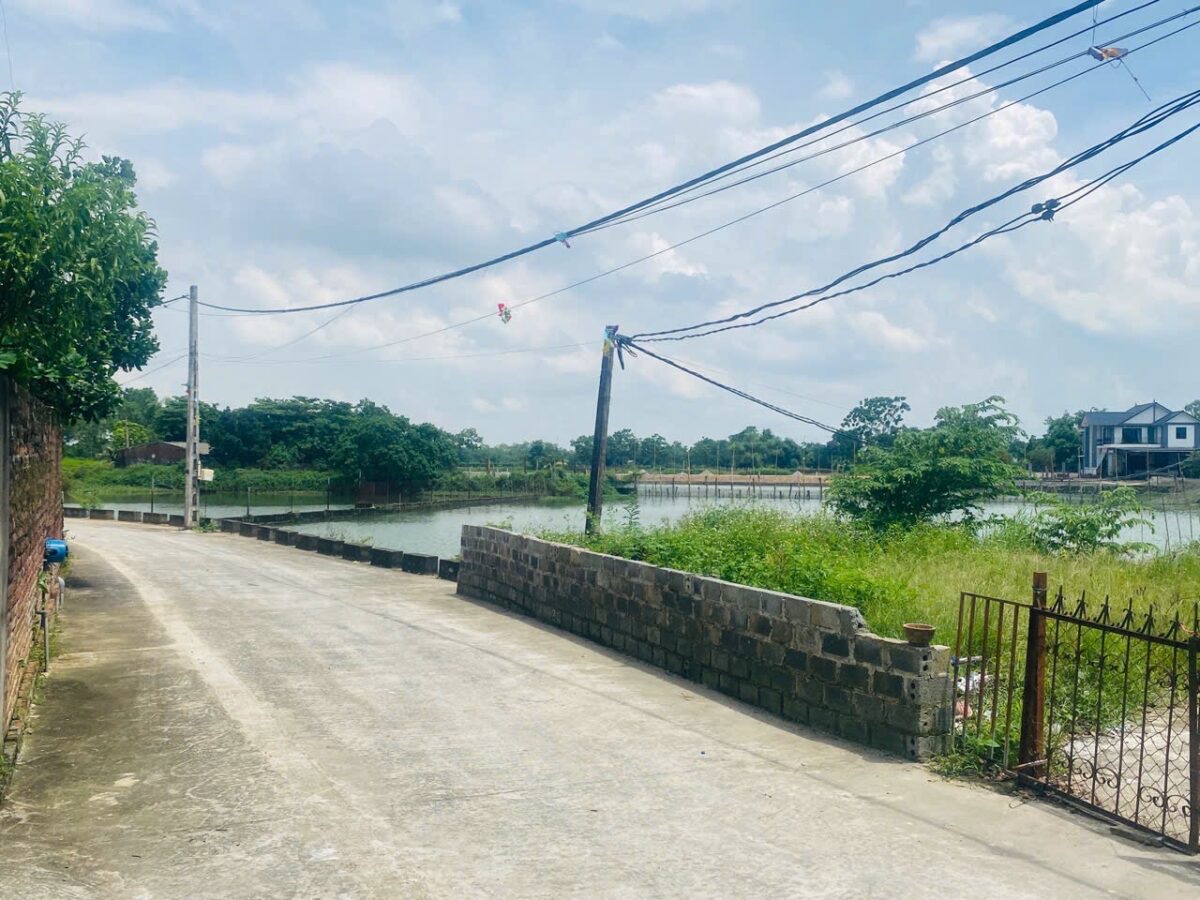 HÀNG FO NGON BỔ RẺ 309,9M TẠI THỦY XUÂN TIÊN-CHƯƠNG MỸ-HÀ NỘI - Ảnh 3