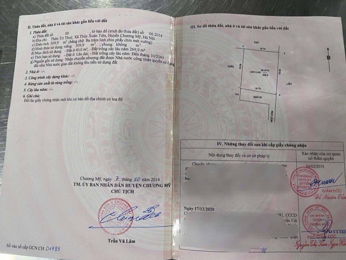 HÀNG FO NGON BỔ RẺ 309,9M TẠI THỦY XUÂN TIÊN-CHƯƠNG MỸ-HÀ NỘI - Ảnh 4
