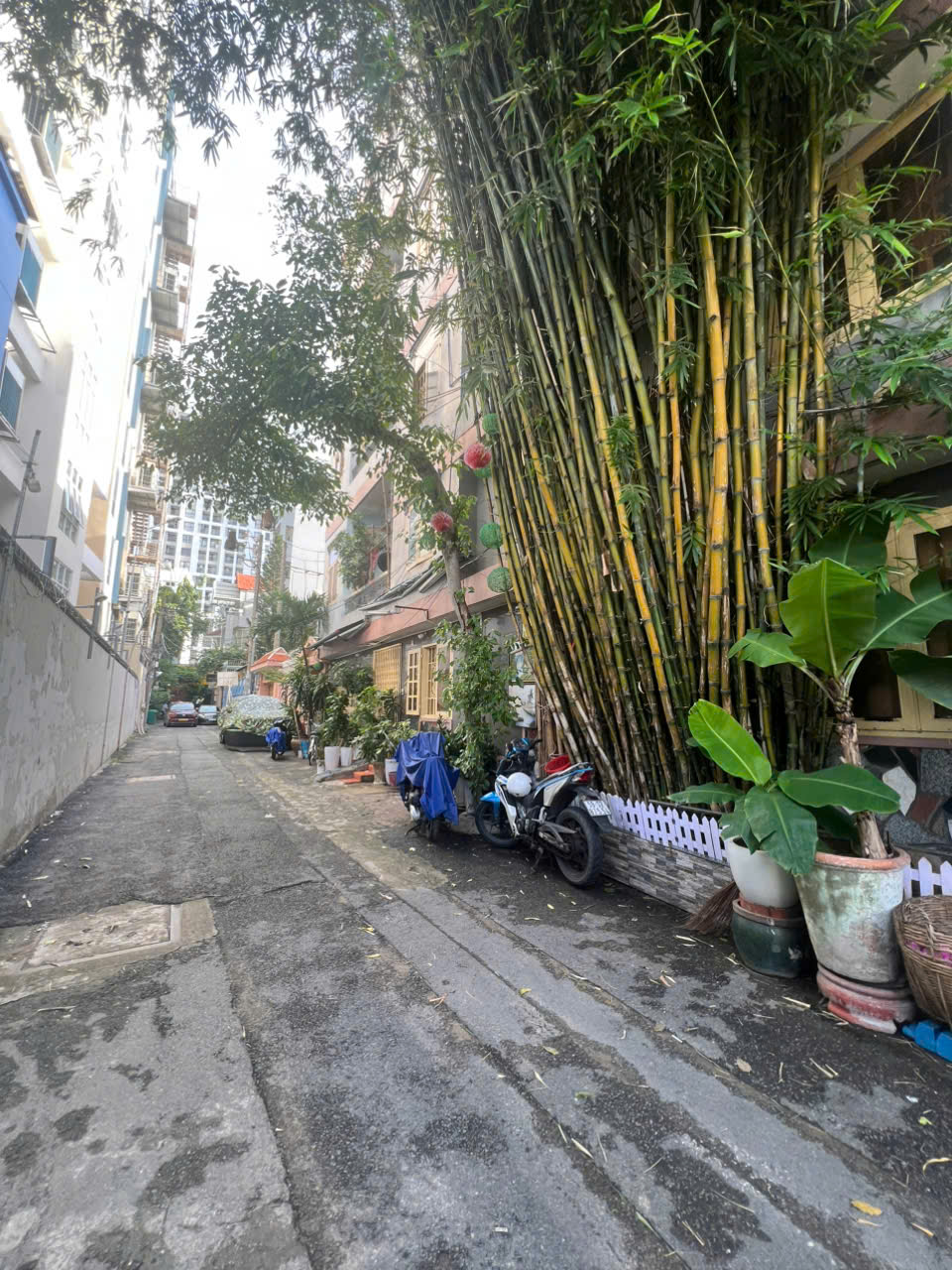 Bán Nhà Hẻm Xe Hơi 199/2 Hoàng Văn Thụ, P9, Phú Nhuận - Ảnh 3