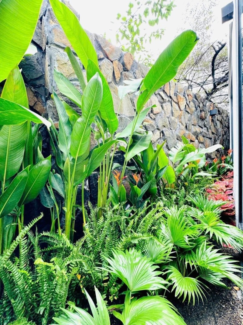 # Nhà Kiệt Nguyễn Hoàng gần Big C, 55m2, 2 tầng mới hiện đại, 3PN, 3.x tỷ - Ảnh 4