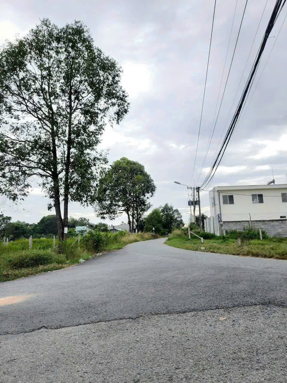BÁN GẤP 1.949M², NỞ HẬU ĐẸP - ĐẤT MẶT TIỀN SÔNG LU – CỦ CHI - Ảnh 2