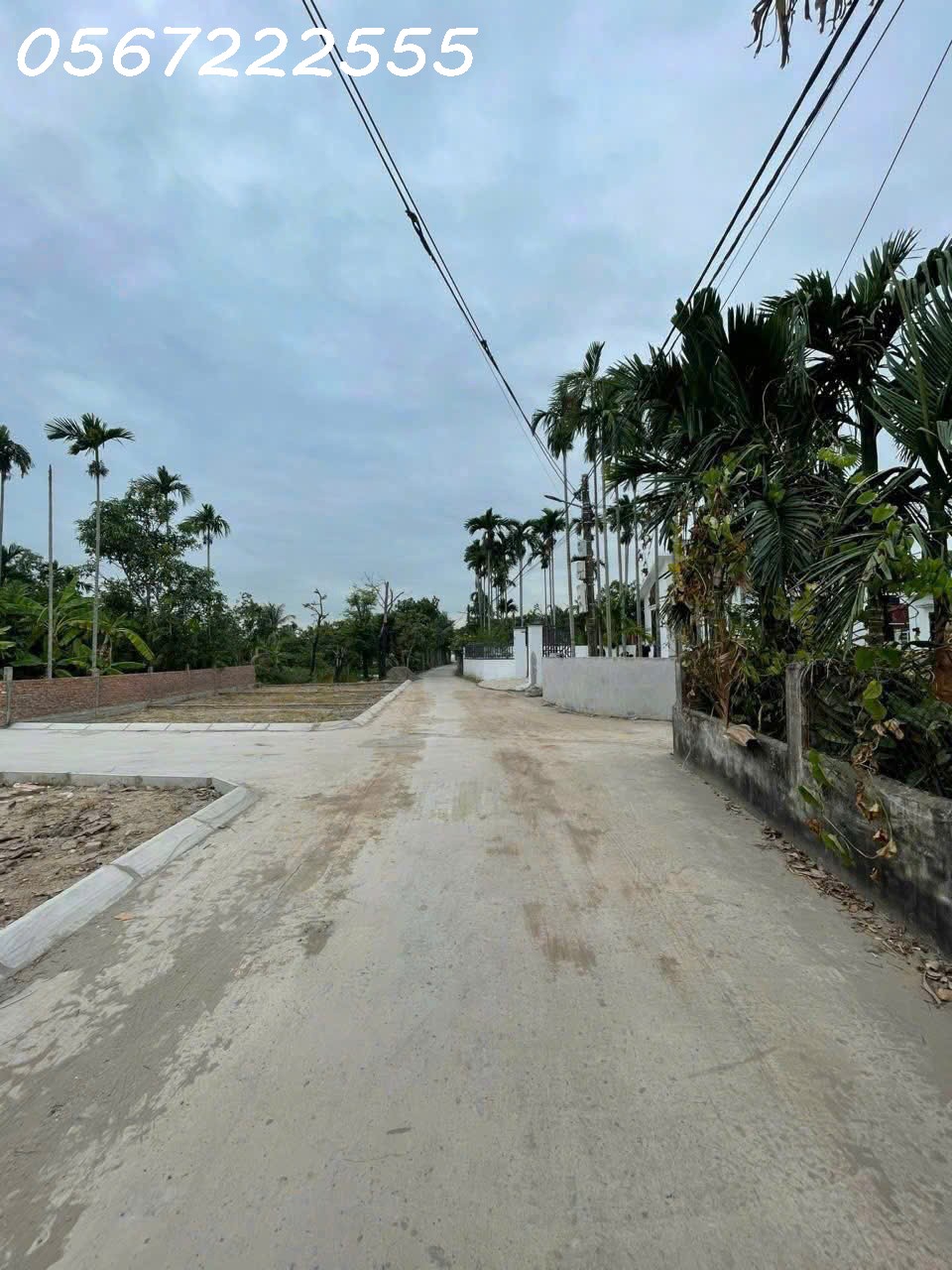 💰 SIÊU PHẨM ĐẤT TỔ 06 HOÀ NGHĨA – NGANG 6M – GIÁ 6XX TRIỆU! - Ảnh 2