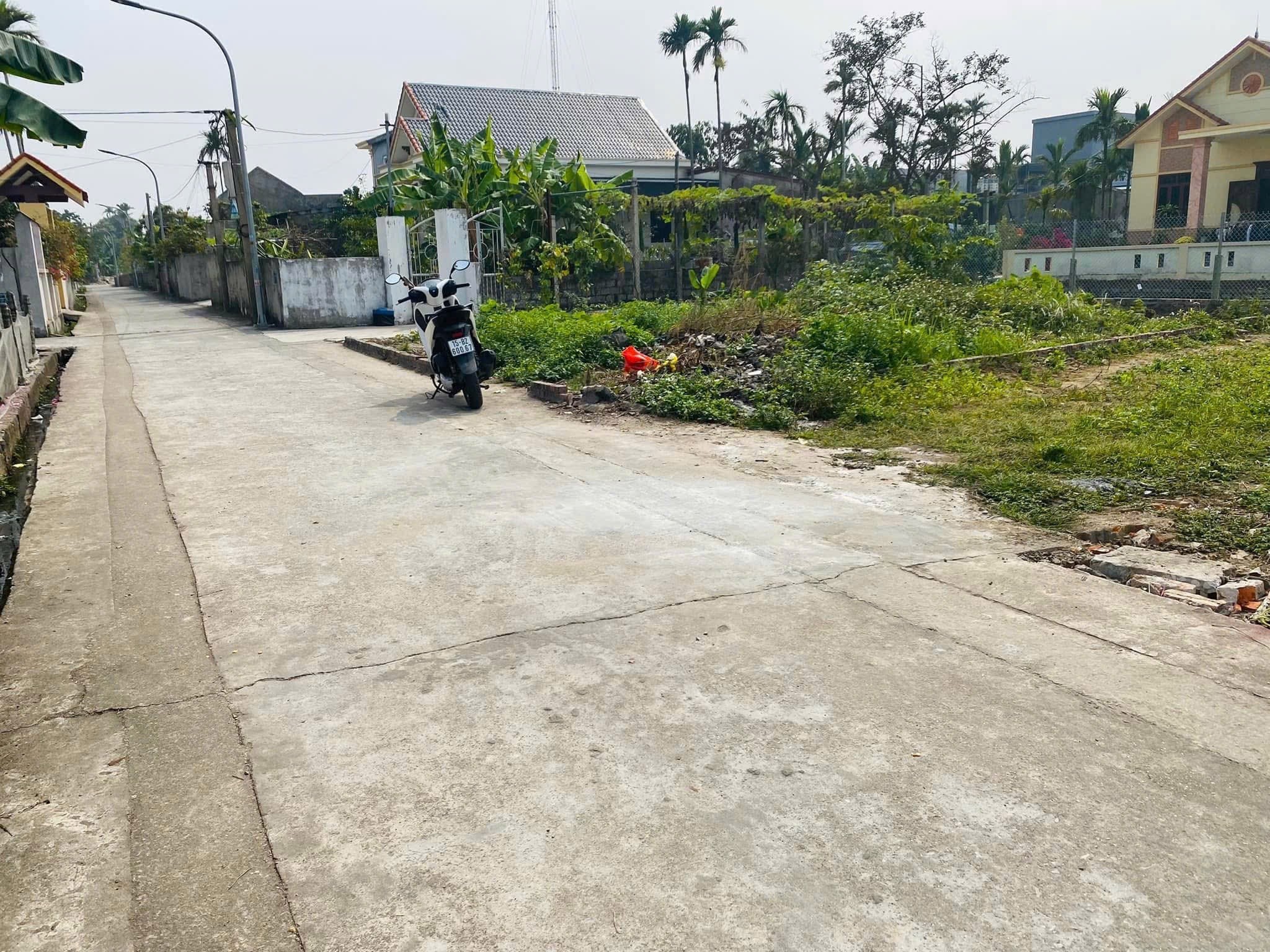 Mình là chính chủ cần bán lô đất của mình ở Lai Hạ, Tân Dân, An Lão , Hải Phòng - Ảnh chính