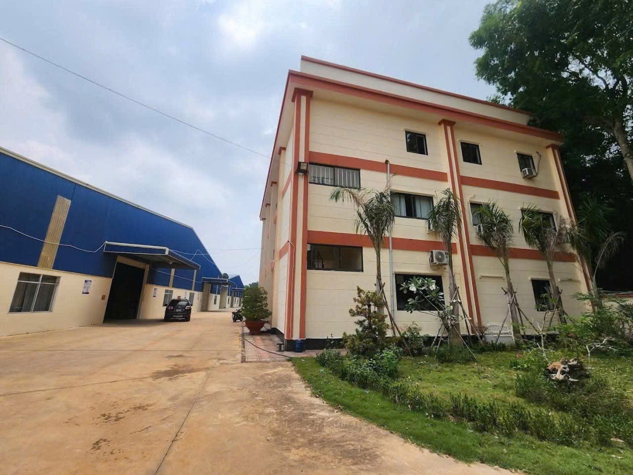 Cho Thuê Nhà Xưởng 10.800m2 tại Bến Cát Bình Dương - Ảnh chính
