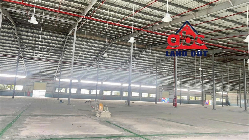 XT494 Nhà Xưởng Sản xuất ưu tiên ngành nghề công nghệ cao, trống xưởng cho thuê liền - Ảnh 1