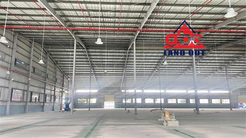 XT494 Nhà Xưởng Sản xuất ưu tiên ngành nghề công nghệ cao, trống xưởng cho thuê liền - Ảnh 4