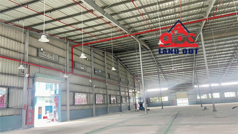 XT494 Nhà Xưởng Sản xuất ưu tiên ngành nghề công nghệ cao, trống xưởng cho thuê liền - Ảnh 3
